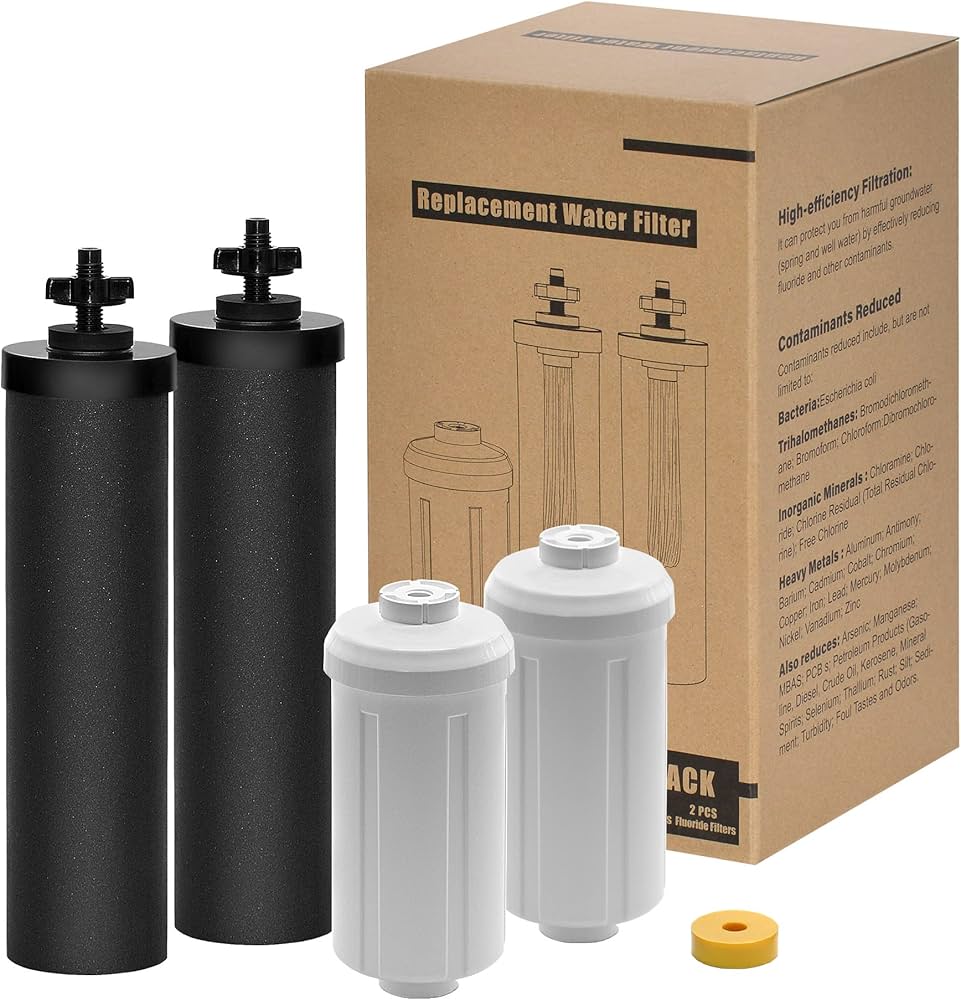 water filter system removes fluoride