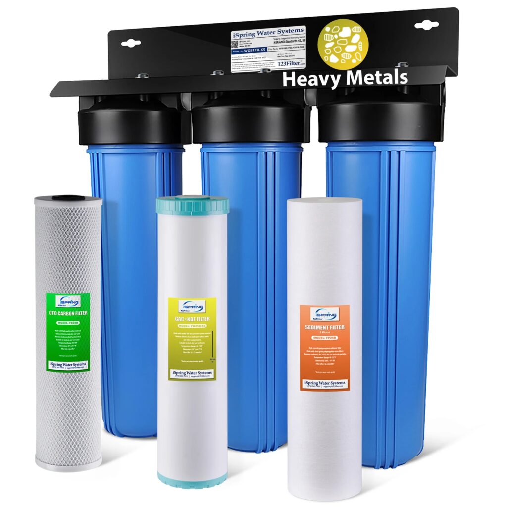 rain water filtration system